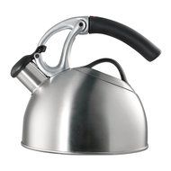 OXO Good Grips Uplift Tea Kettle, Brushed Stainless Steel N2