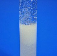 Small 6-inch Admiral FitzRoy Storm Glass for Weather Forecasting