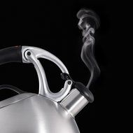 OXO Good Grips Uplift Tea Kettle, Brushed Stainless Steel N5