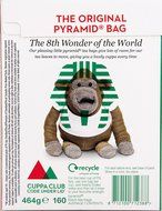PG tips Original 160 Pyramid Tea bags. N4