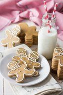 LUXEHOME Set of Colorful BPA Free Plastic Biscuit and Cookie Cutter (Round) N18