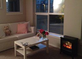 Dimplex CS-12056A Compact Electric Stove N3