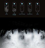 Tempo Drop&reg; Designer Weather Forecast Storm Glass Very Stylish Artware/ Weather Instruments N2
