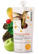 Super Detox Me Vibrance Cleanse Juice with Green Tea and Mango, 12 Ounce, Pack of 10 N19