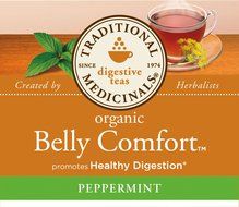 Traditional Medicinals Organic Ginger Aid Tea, 16 Tea Bags (Pack of 6) N3