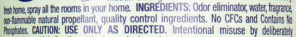 Air Effects, Meadows and Rain, 9.7 oz Aerosol, Sold as 2 Each N5