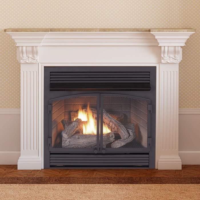Duluth Forge Dual Fuel Vent Free Fireplace Insert - 32,000 BTU, Remote Control, FDF400RT-ZC N4