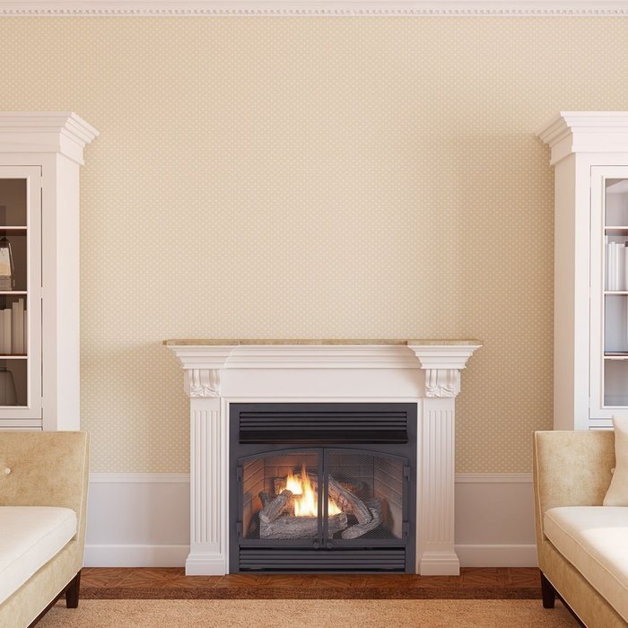 Duluth Forge Dual Fuel Vent Free Fireplace Insert - 32,000 BTU, Remote Control, FDF400RT-ZC N5