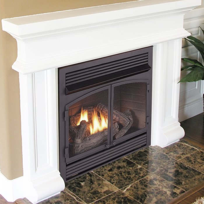 Duluth Forge Dual Fuel Vent Free Fireplace Insert - 32,000 BTU, Remote Control, FDF400RT-ZC N6