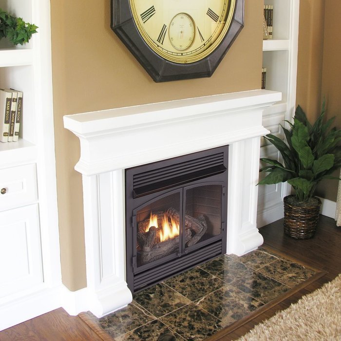 Duluth Forge Dual Fuel Vent Free Fireplace Insert - 32,000 BTU, Remote Control, FDF400RT-ZC N7