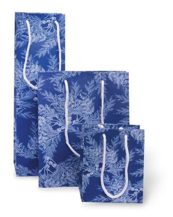 Boston International 6 Count Caskata Studio Bottle Bags, Peony Gold N10