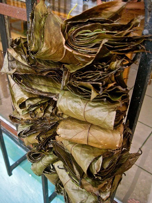 Organic Guayusa Tea, Loose Leaf Amazonian Superleaf Tea by Wild Foods, Full of Antioxidants and Caffeine, Smooth...