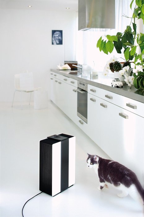 Stadler Form Robert Humidifier and Air Purifier (Air Washer), Black N9