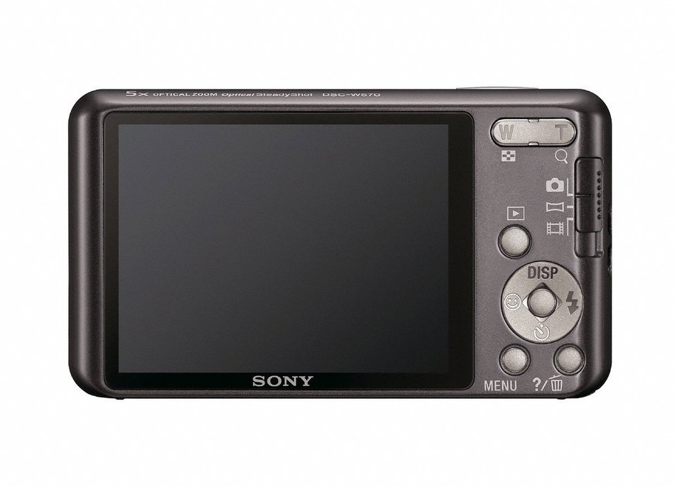 Sony Cyber-Shot DSC-W570 16.1 MP Digital Still Camera with Carl Zeiss Vario-Tessar 5x Wide-Angle Optical Zoom...