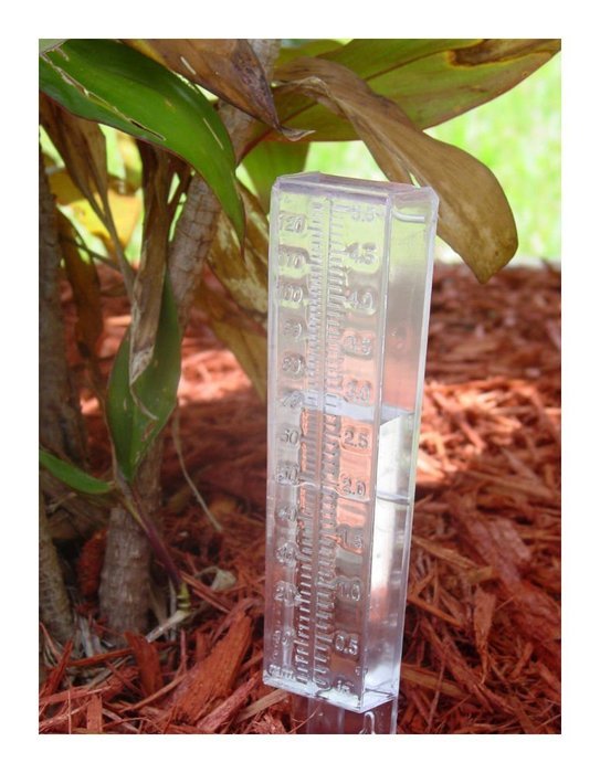 Water Rain Gauge Clear Plastic Weather Garden Accurate Temperature Temp Station Home Enhancement N4