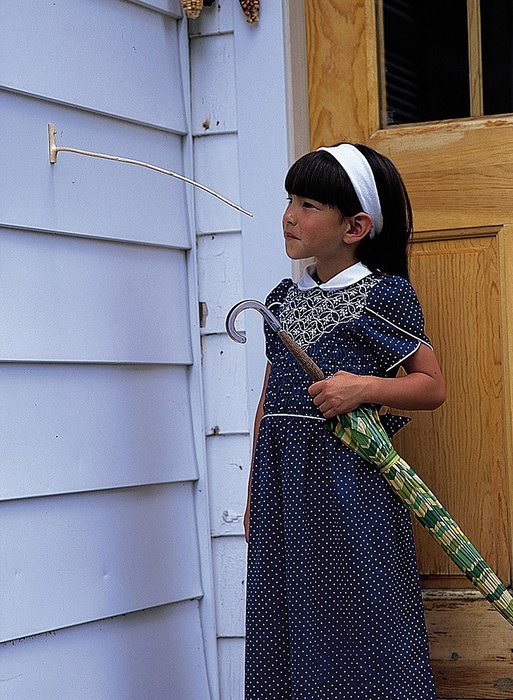Vermont Weather Stick
