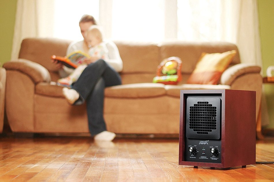 New Age Living CS3500 Portable Ionic HEPA Air Purifier - HEPA Filter & Ionizer For Allergens - Built-In Ozone... N7