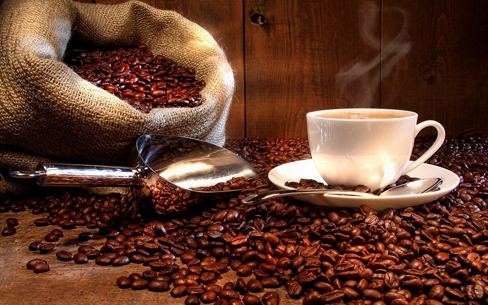 Peru Approcassi Cajamarca Fair Trade Shade Grown Organic Coffee Beans (Light Roast (City), 3 Pounds Whole Beans) N3
