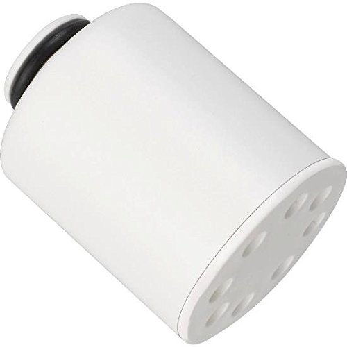 GE WFGEFXSCH GE FXSCH Shower Replacement Filter