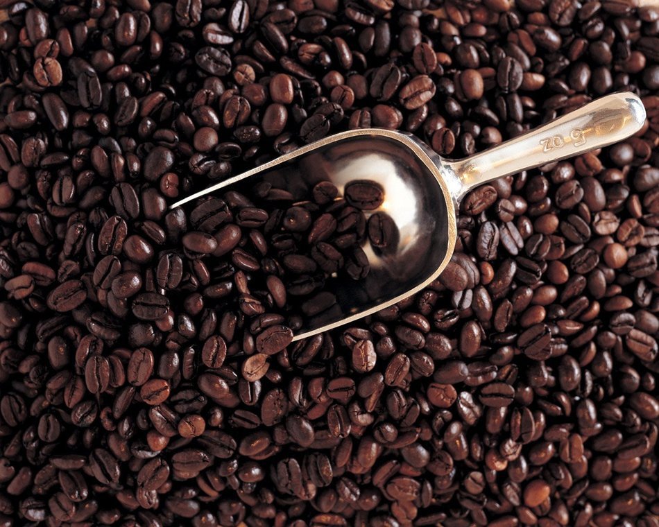 Peru Approcassi Cajamarca Fair Trade Shade Grown Organic Coffee Beans (Light Roast (City), 3 Pounds Whole Beans) N4