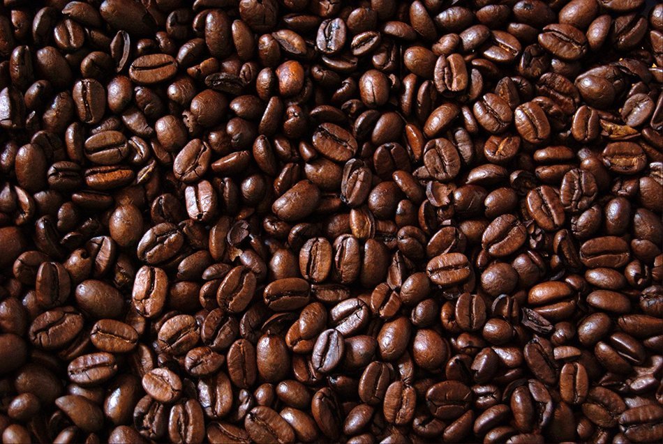 Peru Approcassi Cajamarca Fair Trade Shade Grown Organic Coffee Beans (Light Roast (City), 3 Pounds Whole Beans) N5