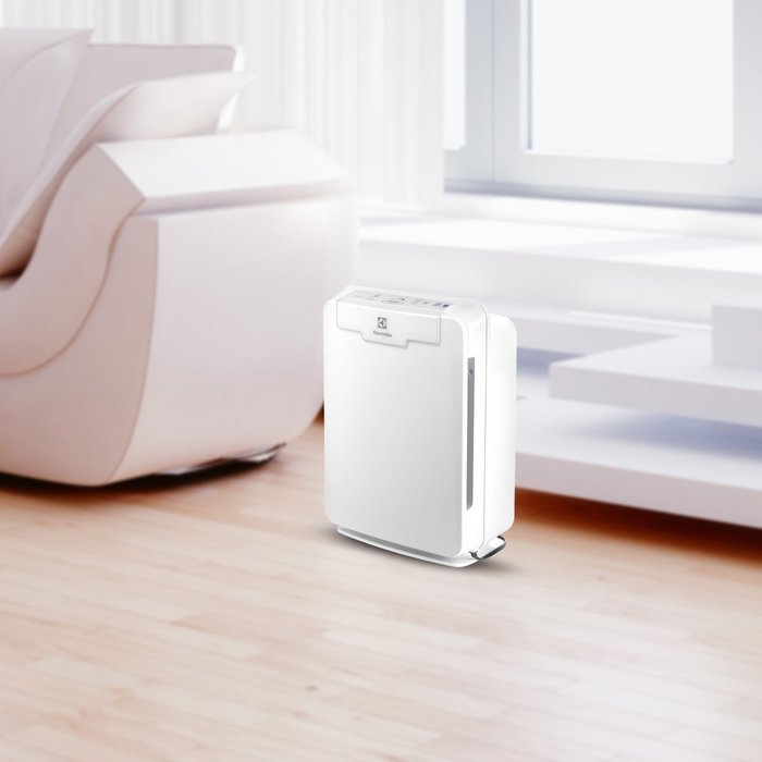 Electrolux PureOxygen Allergy 150 HEPA 4 Stage-Filtration Air Cleaner / Air Purifier, White N5