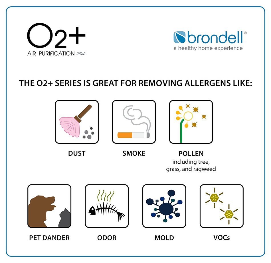 Brondell O2+ Source Air Purifier with True HEPA and Carbon Filtration for Odor and VOCs (Black) N3