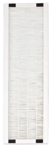Replacement HEPA Filter for AC-2062 (set of 2)