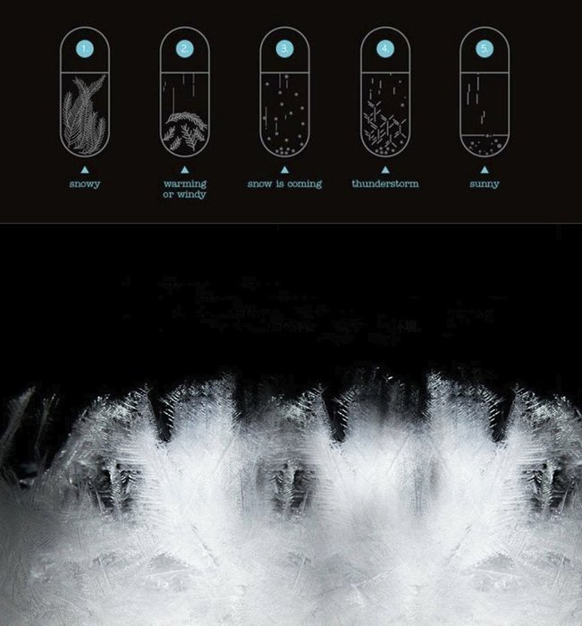Tempo Drop&reg; Designer Weather Forecast Storm Glass Very Stylish Artware/ Weather Instruments N2