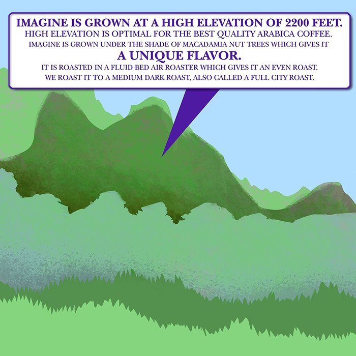 Kona Coffee Beans by Imagine - 100% Kona Hawaii - Medium Dark Roast Whole Bean &ndash; 4 oz Bag N2