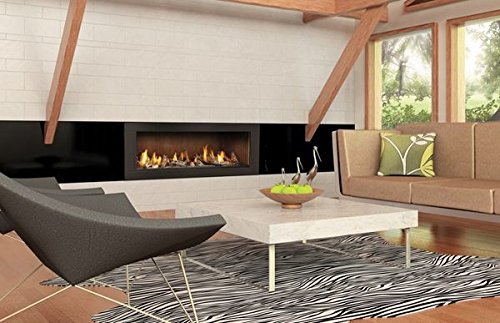 Napoleon LHD62N Fireplace, Vector 62 Linear Natural Gas Direct Vent 50,000 BTU - Black