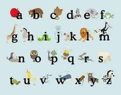 Beautiful and colorful alphabet with the animals