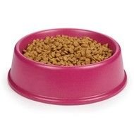 Pet Dog Food Bowl
