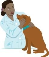 Veterinarian with the cute brown dog clipart