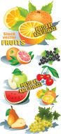 clip art with fruits and berries