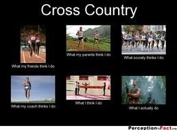 Cross Country Memes