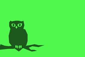 Owl perched branch, green background
