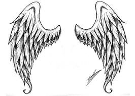 black and white angel wings on a white background