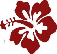 Hibiscus Flower Clip Art N5