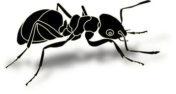Cartoon Ant black drawing