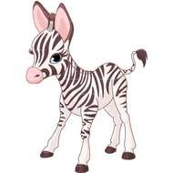 Baby Zebra darwing