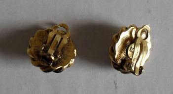 picture of the earrings