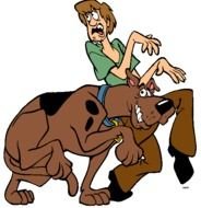 Shaggy Scooby Doo N2
