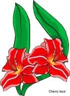 Clip Art of the red flowers