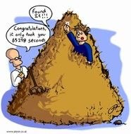 Needle Haystack