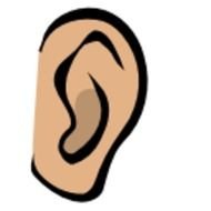 Cartoon Ear N2