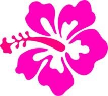 Pink Hibiscus Clip Art