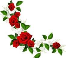 nice Red Rose Border drawing