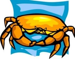 gold crab as graphic illustration