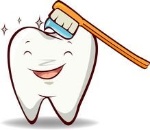 Tooth Clip Art drawing